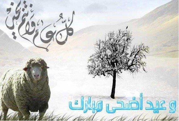 رسائل عيد الاضحى المبارك 2016 للواتس