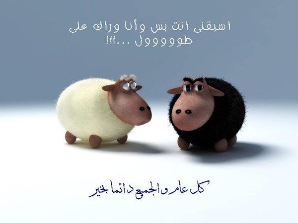 رسائل مضحكة للتهئة بعيد الاضحى