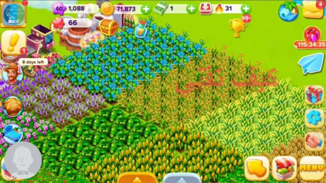 ابني مزرعة كبيرة Family farm