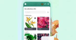 أفضل تطبيقات النباتات